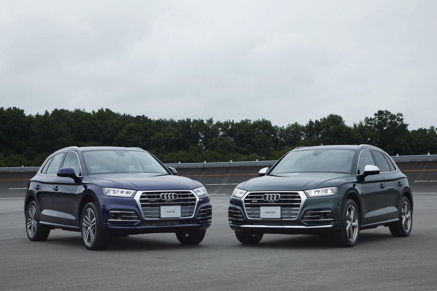  Audi Q5 TFSI Quattro S-Line 2017 года  (JP) (фото 18 из 18)